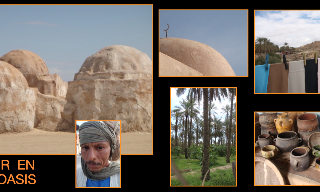 Postal. EL OASIS DE TOZEUR (TÚNEZ)