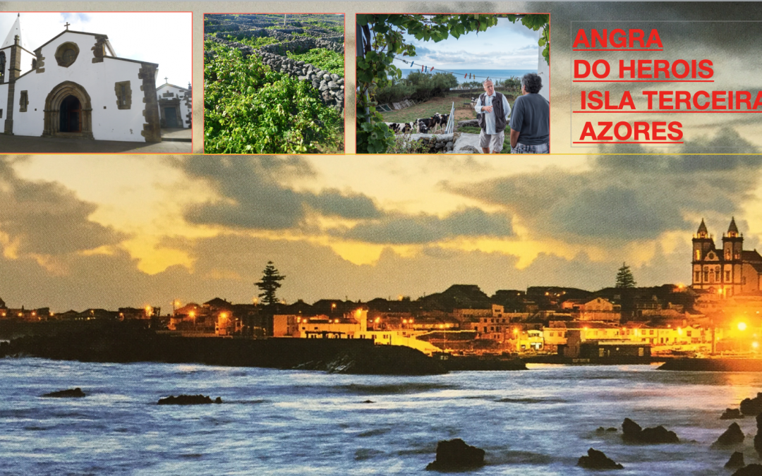 Postal. ANGRA DO HEROISMO (AZORES), MÁS VACAS QUE PERSONAS