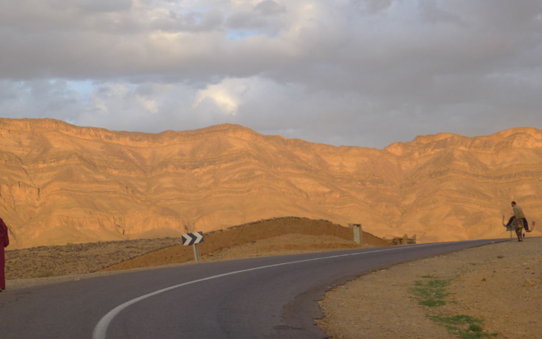 Postal. LÍMITE DE VELOCIDAD PARA EL ASNO MARROQUÍ