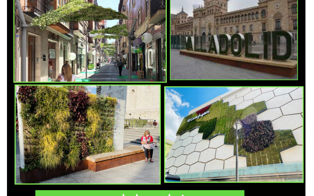 Postal. LOS JARDINES VERTICALES DE VALLADOLID